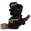 Nemesis Now Tabitha Witch Cat All Homeware