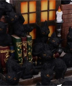 Nemesis Now The Witches Litter Set Of 12 Cats All Homeware