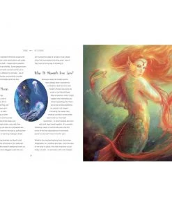 Eastgate The Magical History Of Mermaids Book