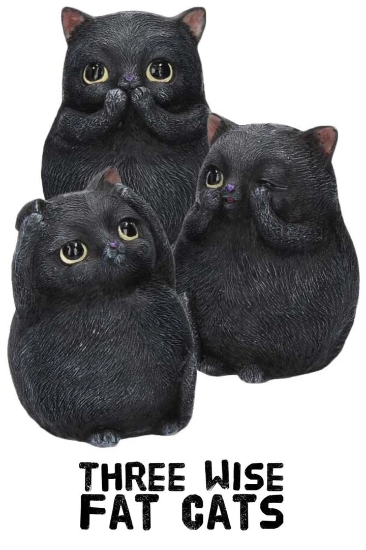 Nemesis Now All Homeware Three Wise Fat Cats 4 Nemesis Now All Homeware Three Wise Fat Cats
