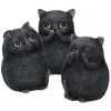 Nemesis Now All Homeware Three Wise Fat Cats