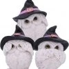 Nemesis Now All Homeware Three Wise Feathered Familiars Owls