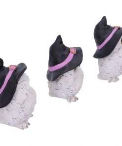 Nemesis Now All Homeware Three Wise Feathered Familiars Owls