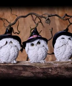 Nemesis Now All Homeware Three Wise Feathered Familiars Owls