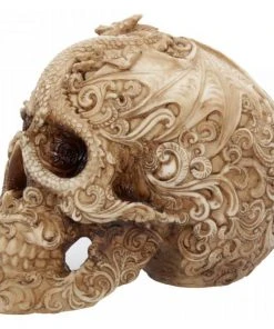 Nemesis Now Cranial Drakos Skull 19.5cm