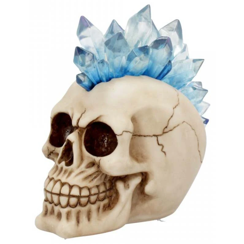 Nemesis Now Steampunk Homeware Crystal Hawk Skull 4 Nemesis Now Steampunk Homeware Crystal Hawk Skull