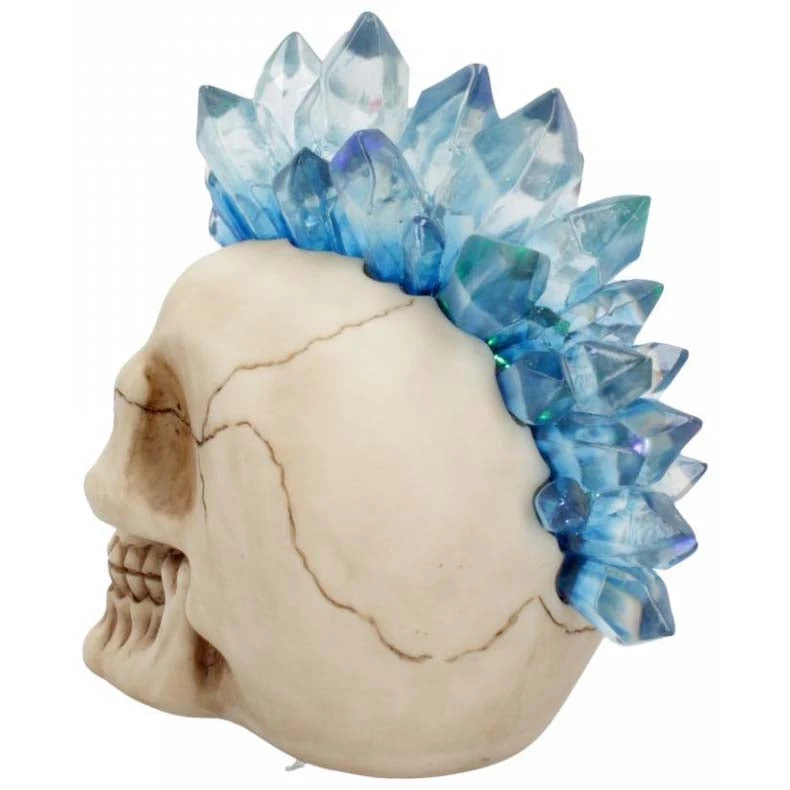 Nemesis Now Steampunk Homeware Crystal Hawk Skull 5 Nemesis Now Steampunk Homeware Crystal Hawk Skull