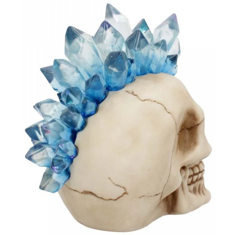 Nemesis Now Steampunk Homeware Crystal Hawk Skull 6 Nemesis Now Steampunk Homeware Crystal Hawk Skull