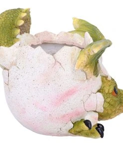 Nemesis Now All Homeware Welcome Friends Baby Dragon Pot 10 Nemesis Now All Homeware Welcome Friends Baby Dragon Pot