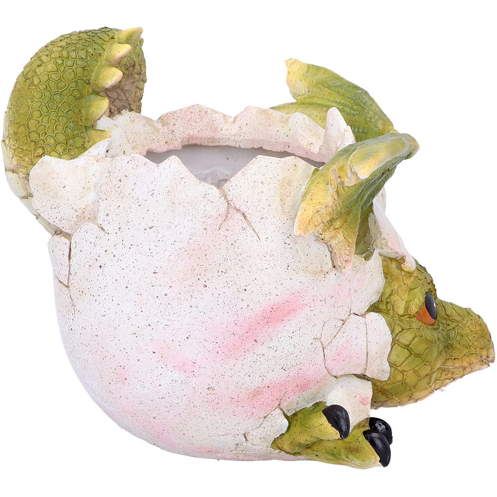 Nemesis Now All Homeware Welcome Friends Baby Dragon Pot 6 Nemesis Now All Homeware Welcome Friends Baby Dragon Pot