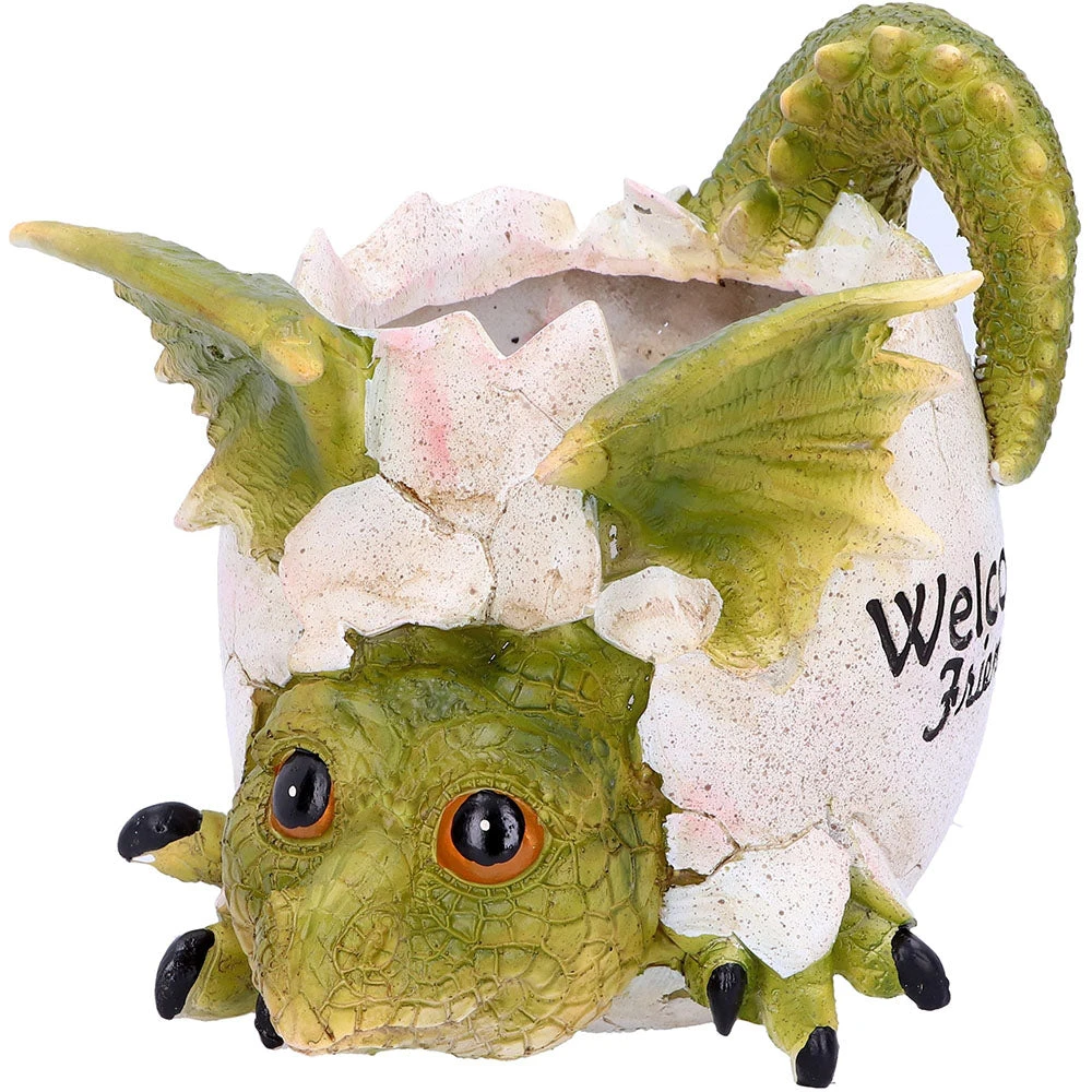 Nemesis Now All Homeware Welcome Friends Baby Dragon Pot 4 Nemesis Now All Homeware Welcome Friends Baby Dragon Pot