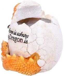 Nemesis Now All Homeware Home Is Where My Dragon Is Pot