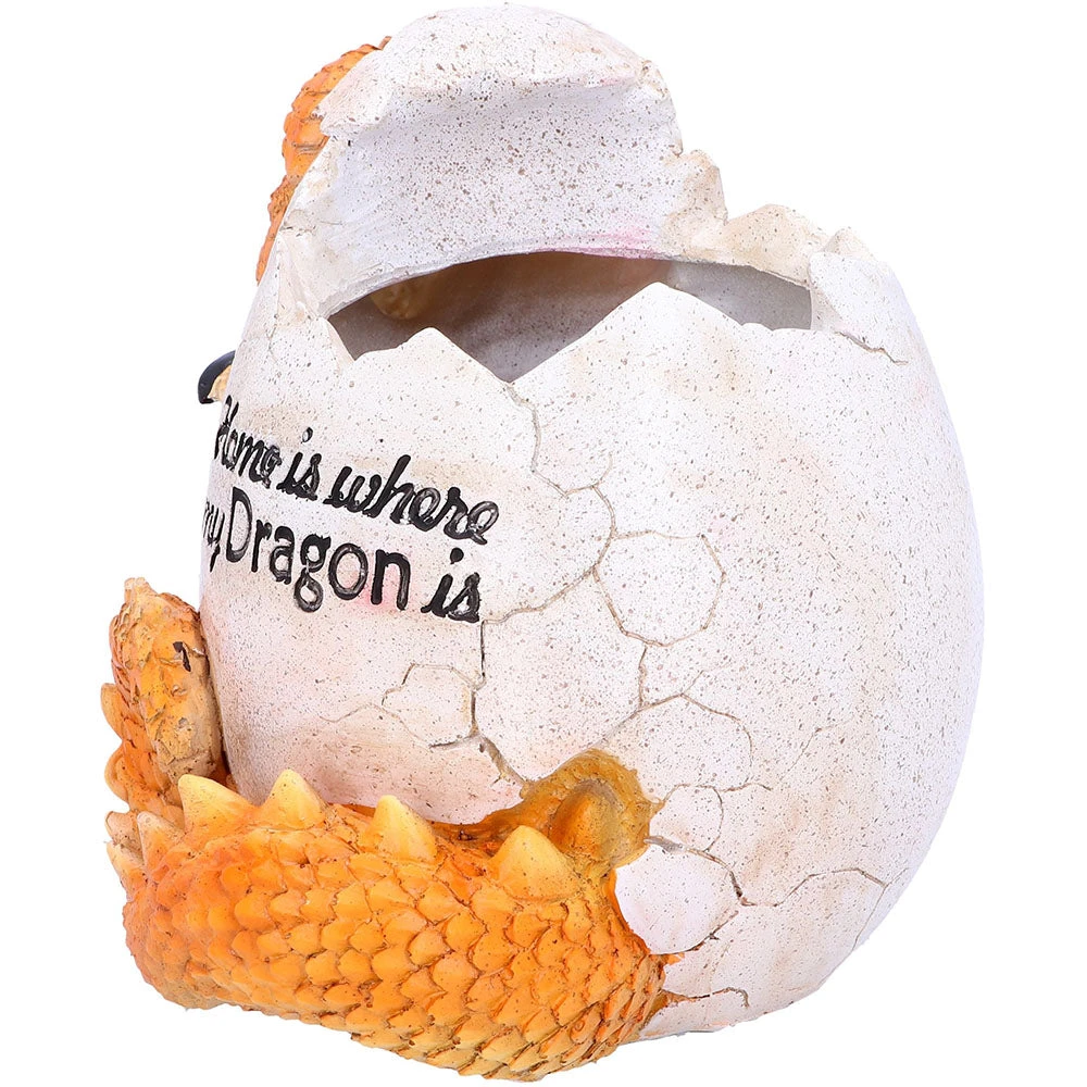 Nemesis Now All Homeware Home Is Where My Dragon Is Pot 4 Nemesis Now All Homeware Home Is Where My Dragon Is Pot