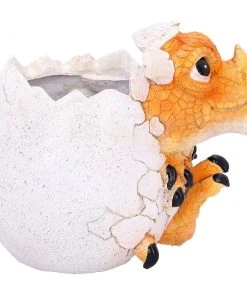 Nemesis Now All Homeware Home Is Where My Dragon Is Pot 9 Nemesis Now All Homeware Home Is Where My Dragon Is Pot