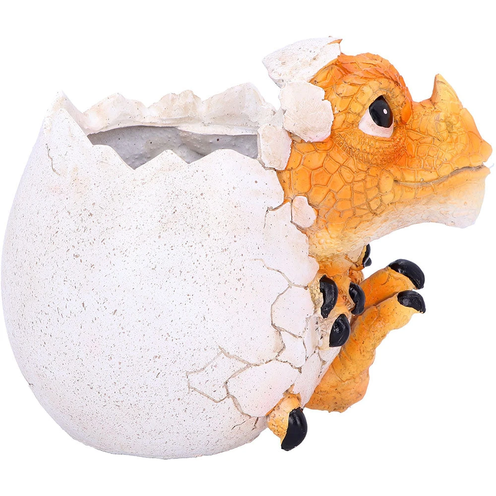 Nemesis Now All Homeware Home Is Where My Dragon Is Pot 5 Nemesis Now All Homeware Home Is Where My Dragon Is Pot