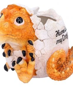 Nemesis Now All Homeware Home Is Where My Dragon Is Pot 10 Nemesis Now All Homeware Home Is Where My Dragon Is Pot