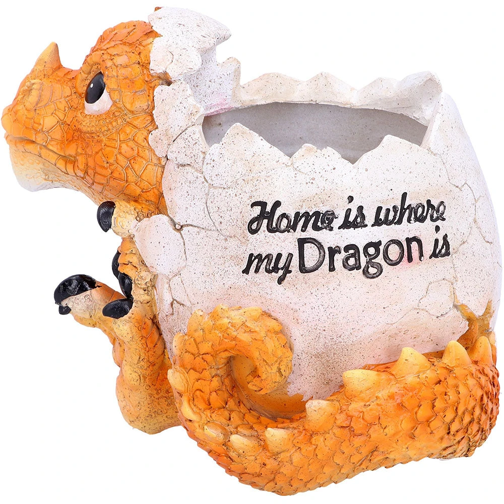 Nemesis Now All Homeware Home Is Where My Dragon Is Pot 7 Nemesis Now All Homeware Home Is Where My Dragon Is Pot