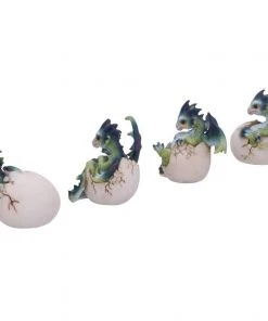 Nemesis Now Hatchlings Emergence Dragons Set Of 4 All Homeware