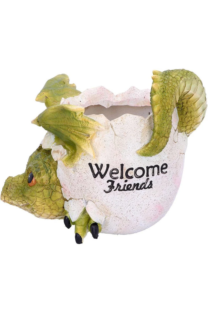 Nemesis Now All Homeware Welcome Friends Baby Dragon Pot 3 Nemesis Now All Homeware Welcome Friends Baby Dragon Pot